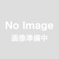 【殺菌剤】ICジンク水和剤 (500g)【20,000円以上購入で送料0円 安心価格】
