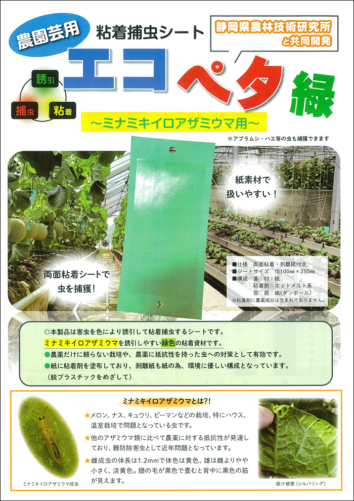 【農薬通販.jp】エコペタ 緑色 (50枚入 100×250mm) 粘着捕虫シート【10,000円以上購入で送料0円 安心価格】です。