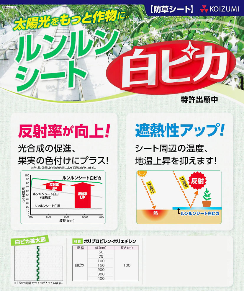 最大68％オフ！ ルンルンシート白ピカ 2m×100m 巻 小泉製麻株式会社